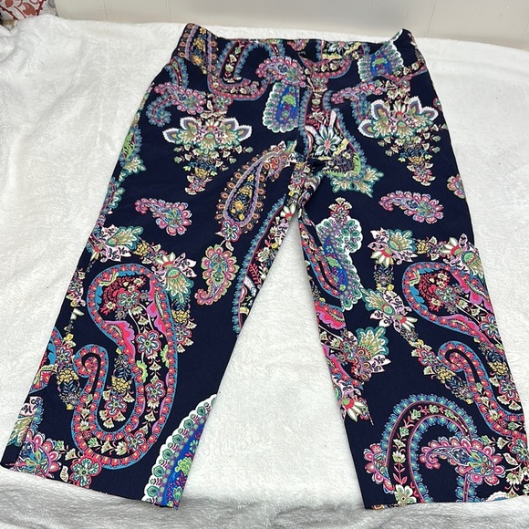 Zac & Rachel Multicolor Paisley Cropped Pants - Picture 3 of 9